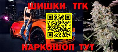 СК Обь