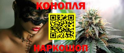 СК Обь