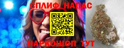 гашик Обнинск