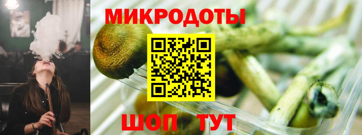 Галлюциногенные грибы MAGIC MUSHROOMS  Вход с VPN  Севастополь 